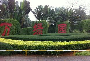 万绿园命案天涯爆料视频,天涯爆料视频揭露惊人真相  第1张